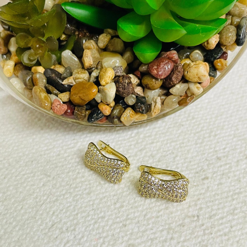 Earrings stainless steel