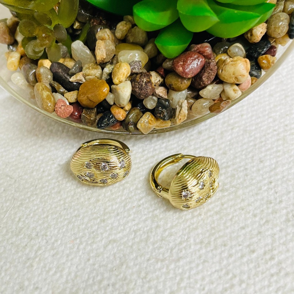 Earrings stainless steel