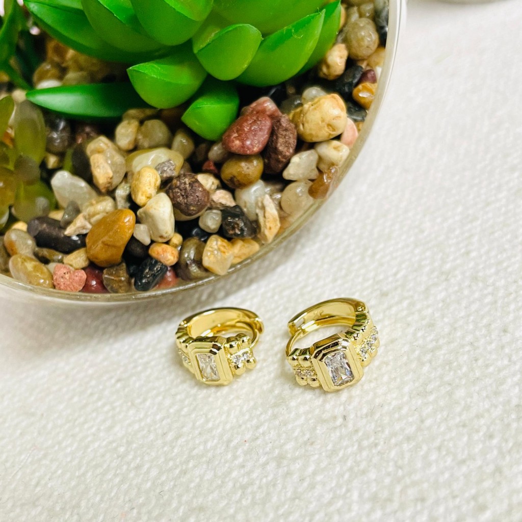 Earrings stainless steel