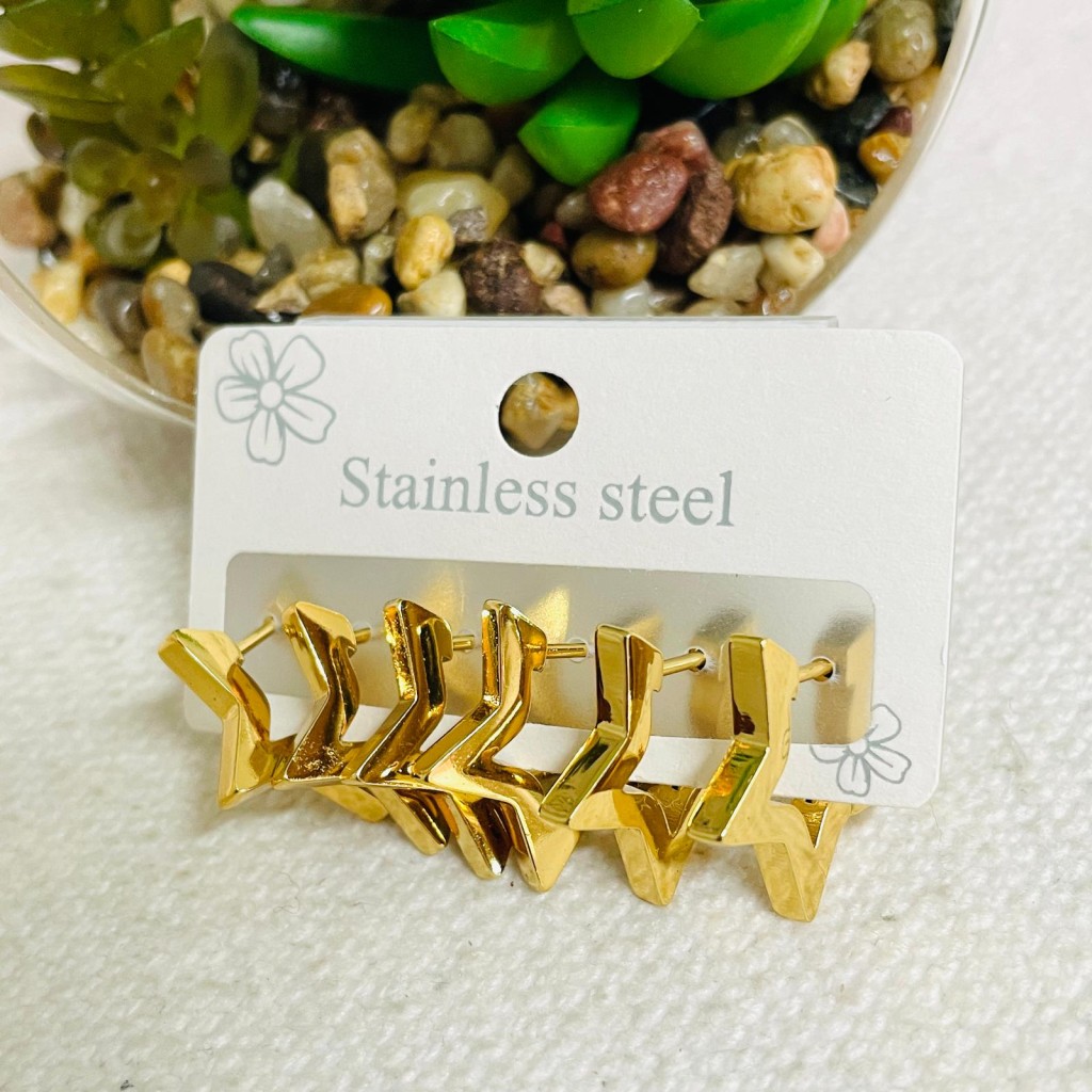 Earrings stainless steel