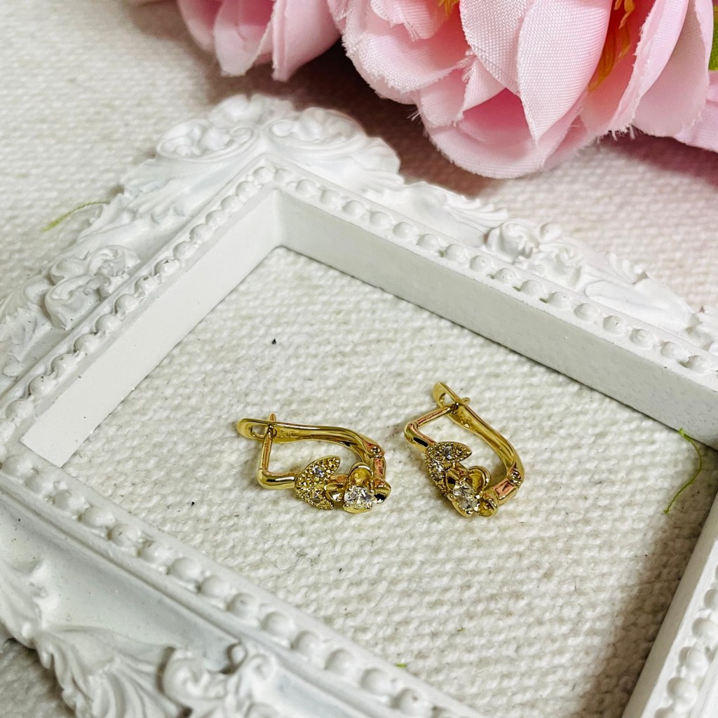 Hoop Earrings stainless steel