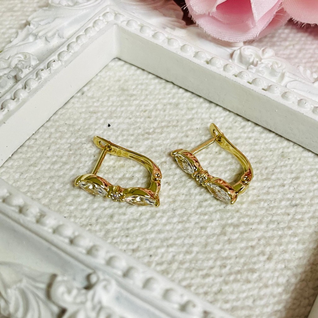 Hoop Earrings stainless steel