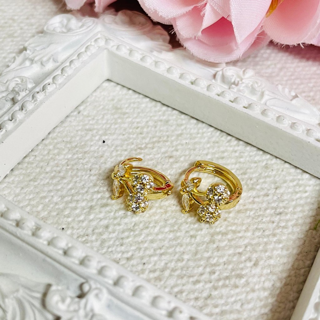 Hoop Earrings stainless steel