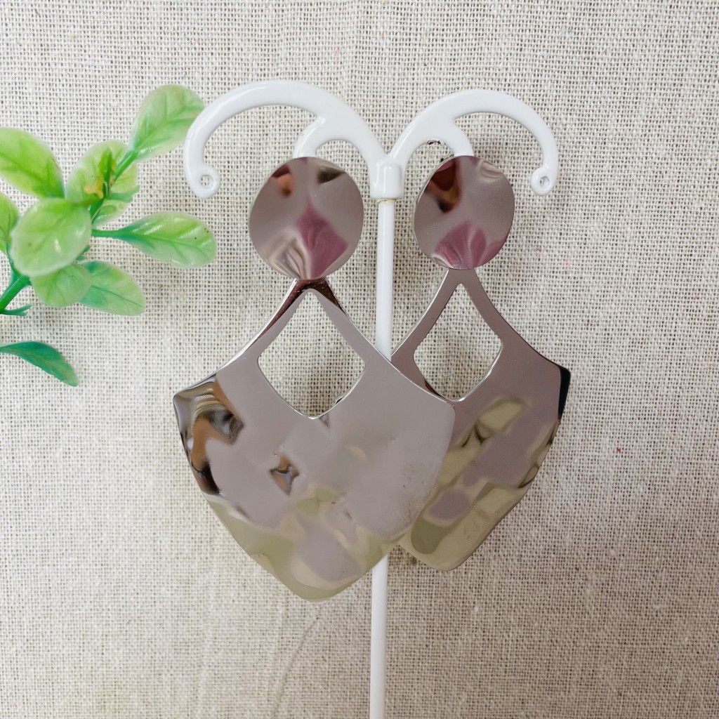 Long stainless steel earrings