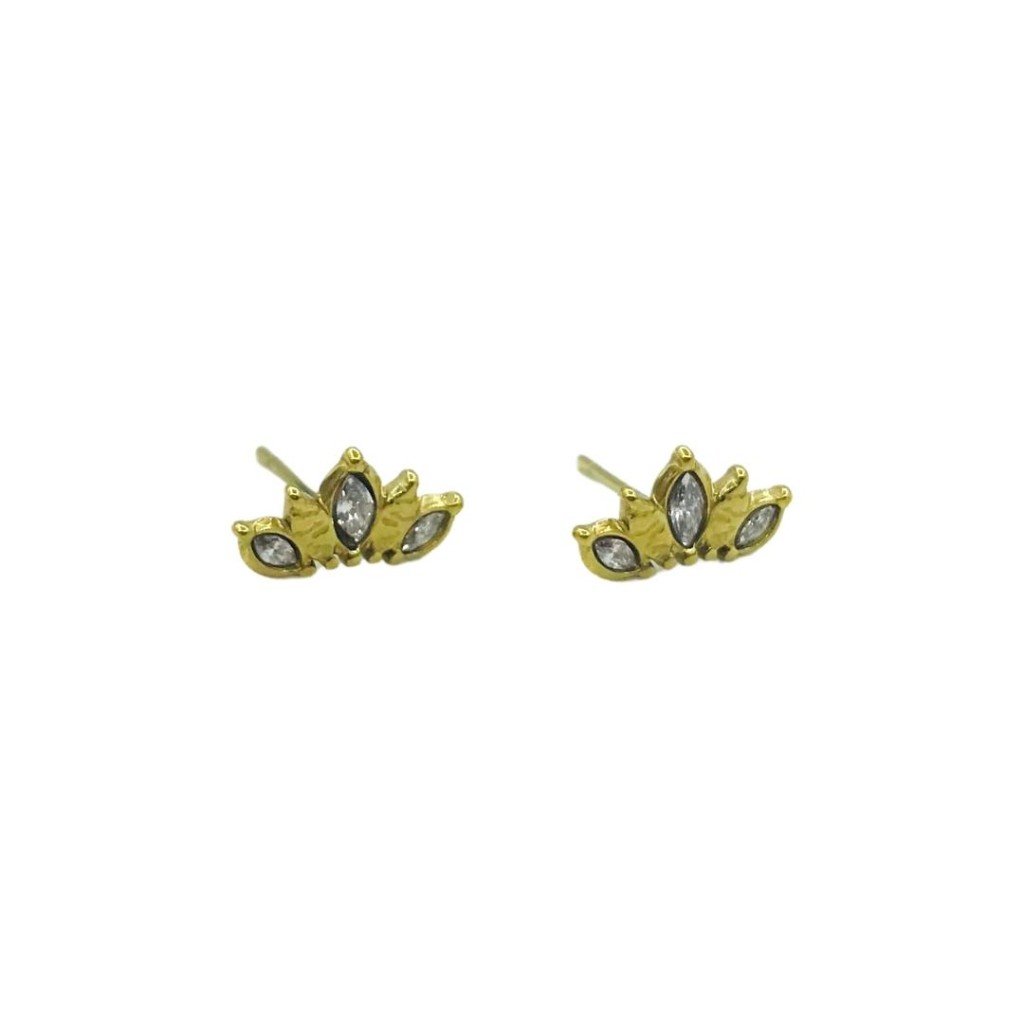 Stainless steel stud earrings