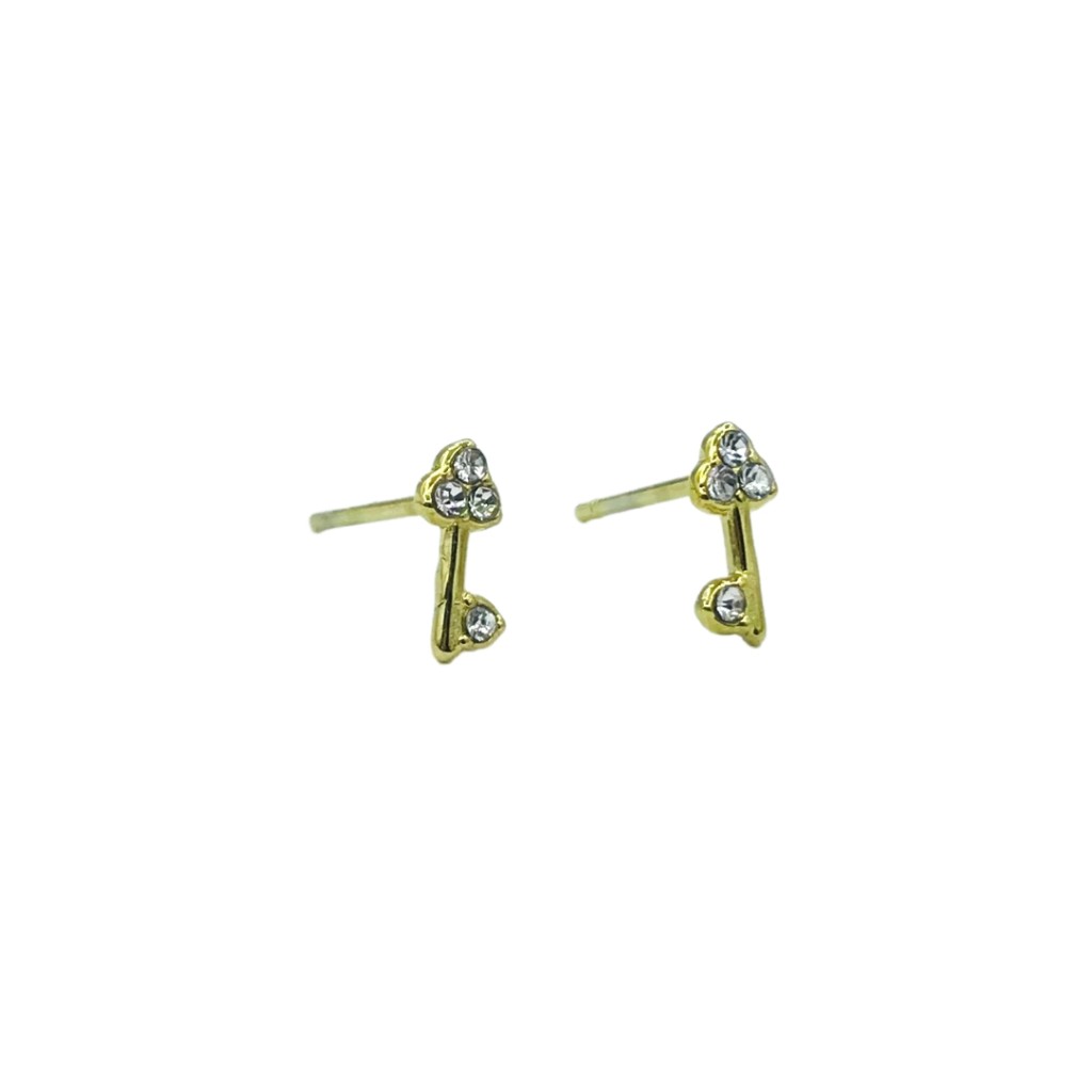 Stainless steel stud earrings
