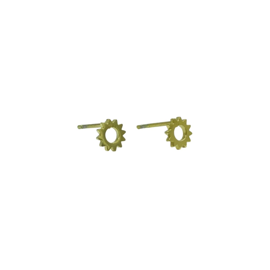 Stainless steel stud earrings
