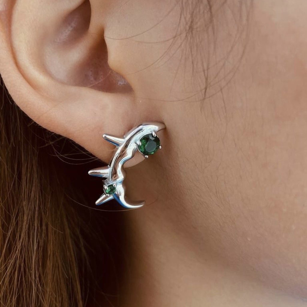Stainless steel earrings