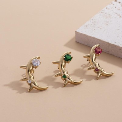 Stainless steel earrings