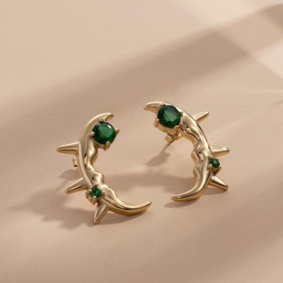 Stainless steel earrings