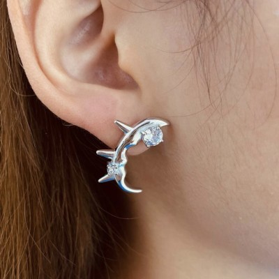 Stainless steel earrings