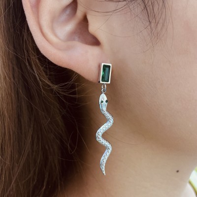 Stainless steel earrings