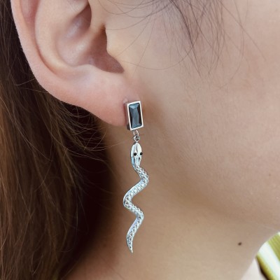 Stainless steel earrings
