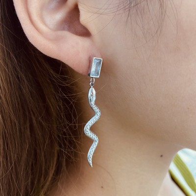Stainless steel earrings
