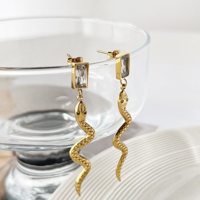Stainless steel earrings