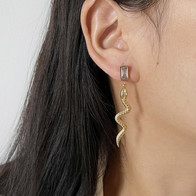 Stainless steel earrings