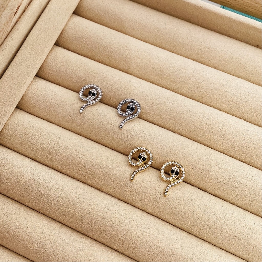 Stainless steel earrings