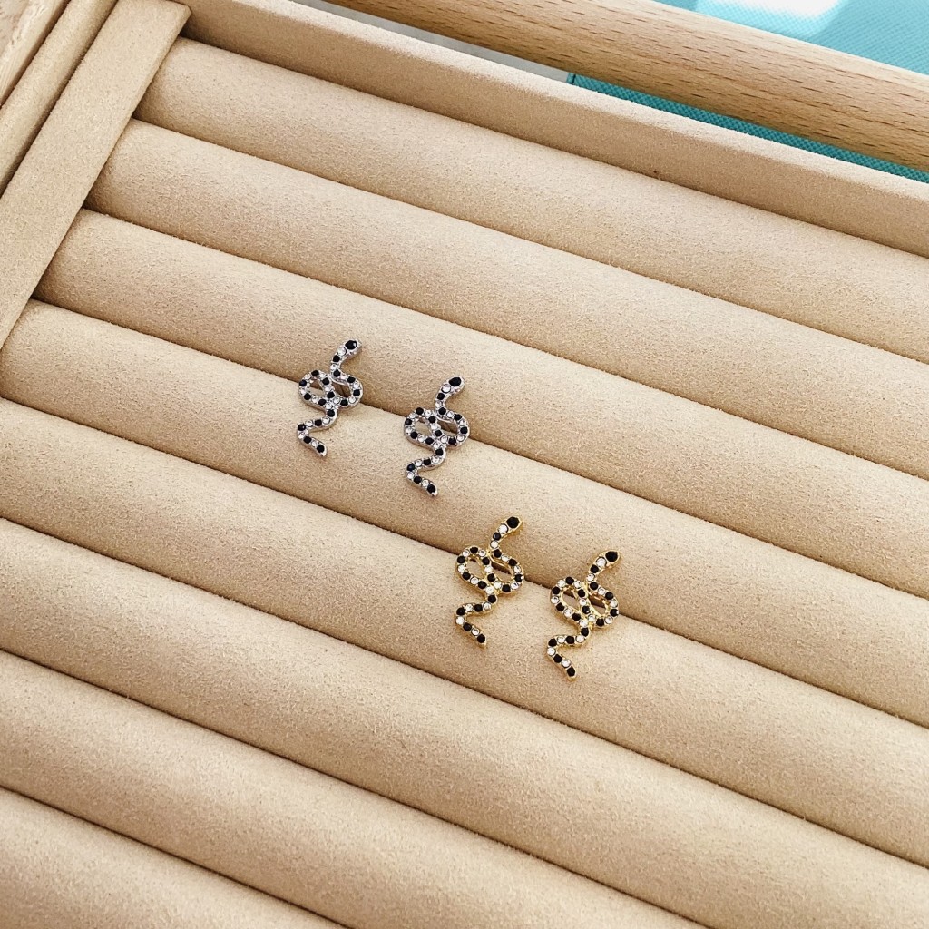 Stainless steel earrings