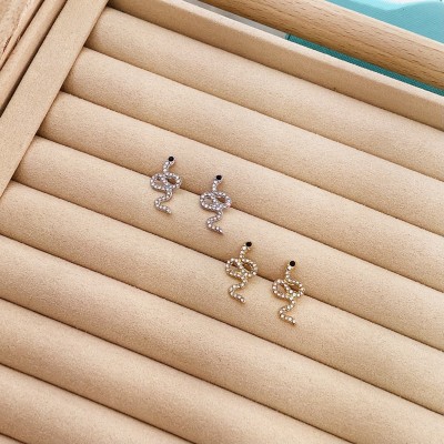 Stainless steel earrings