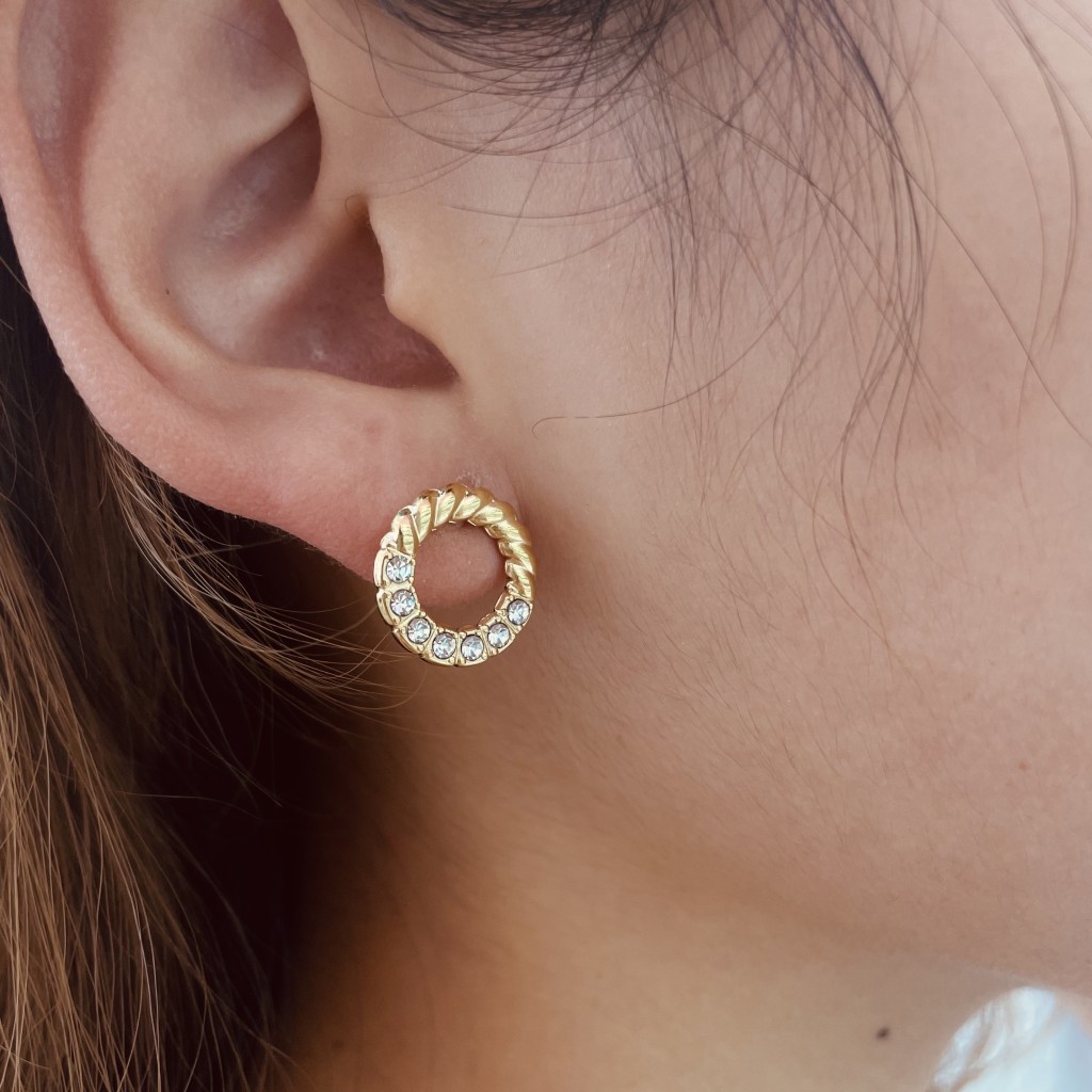 Stainless steel earrings
