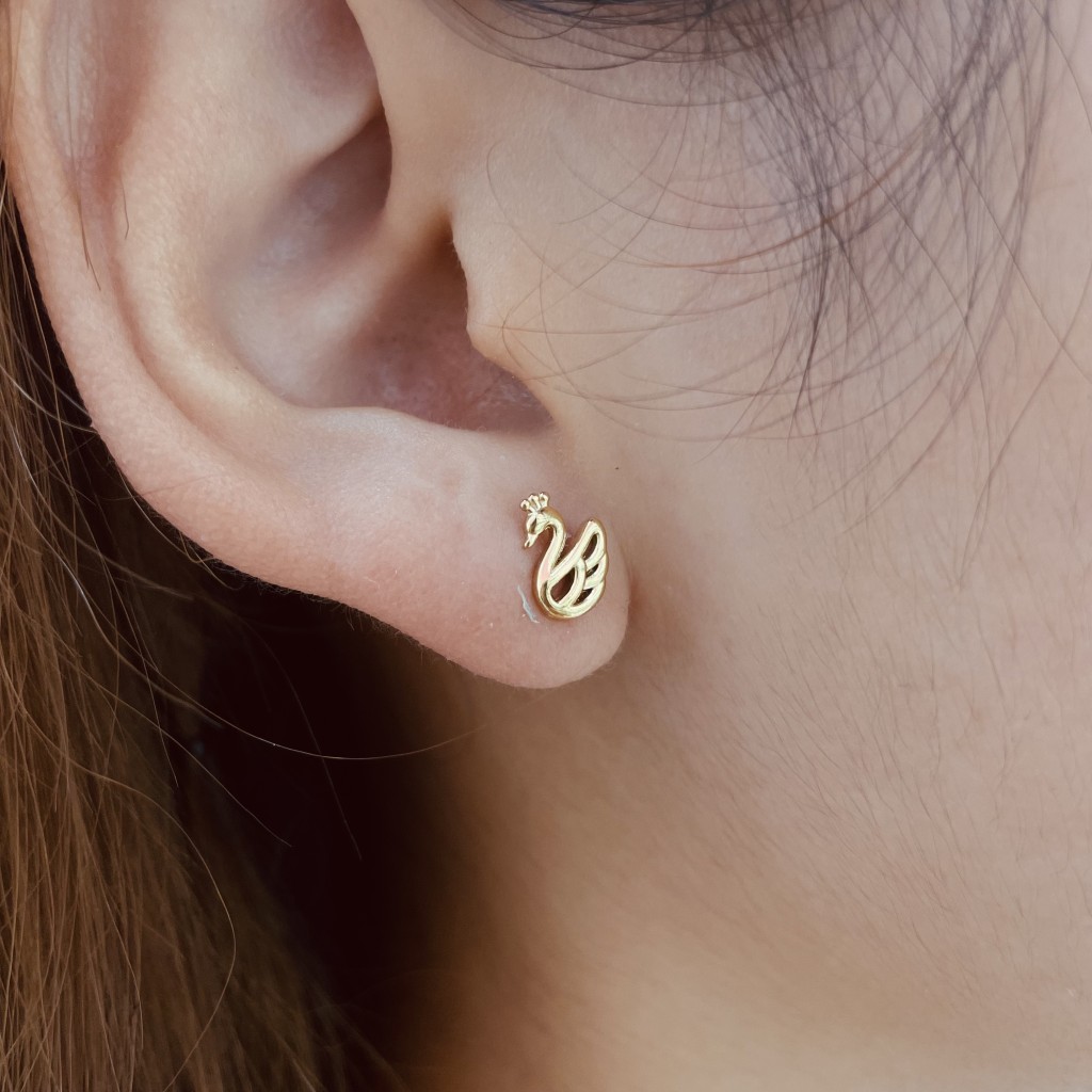Stainless steel earrings