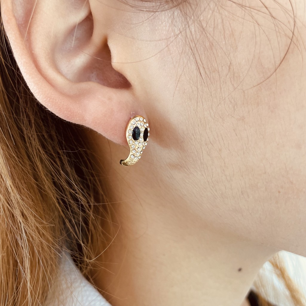 Stainless steel earrings