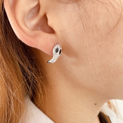 Stainless steel earrings