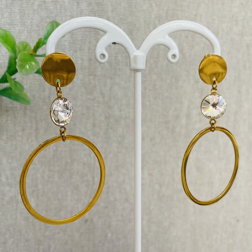 Stainless steel earrings