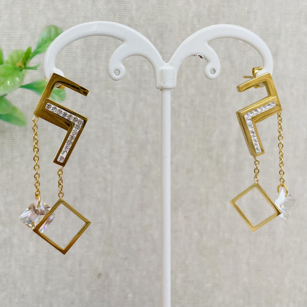 Stainless steel earrings