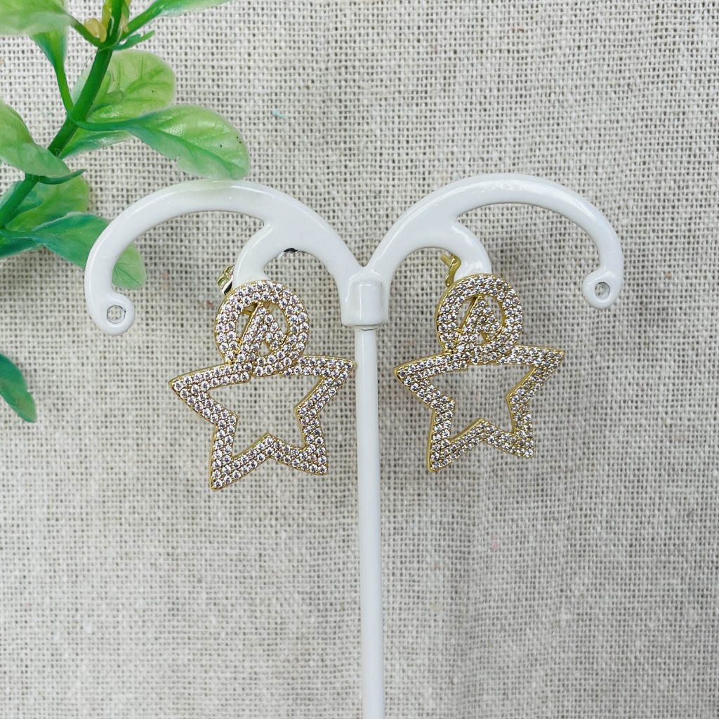 Stainless steel earrings