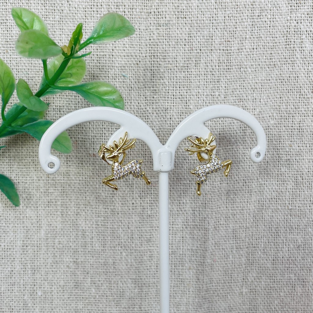 Stainless steel earrings
