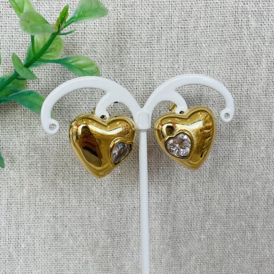 Stainless steel earrings