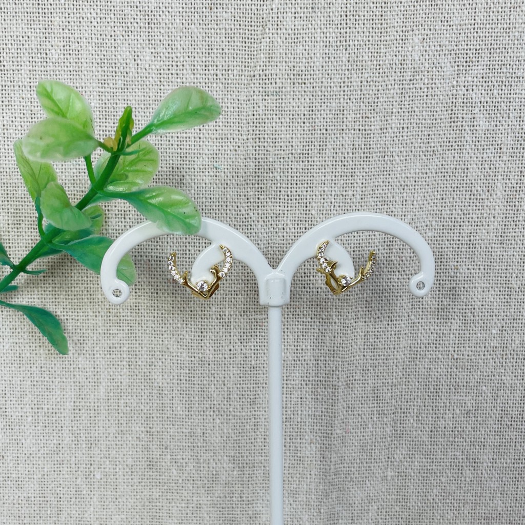 Stainless steel earrings