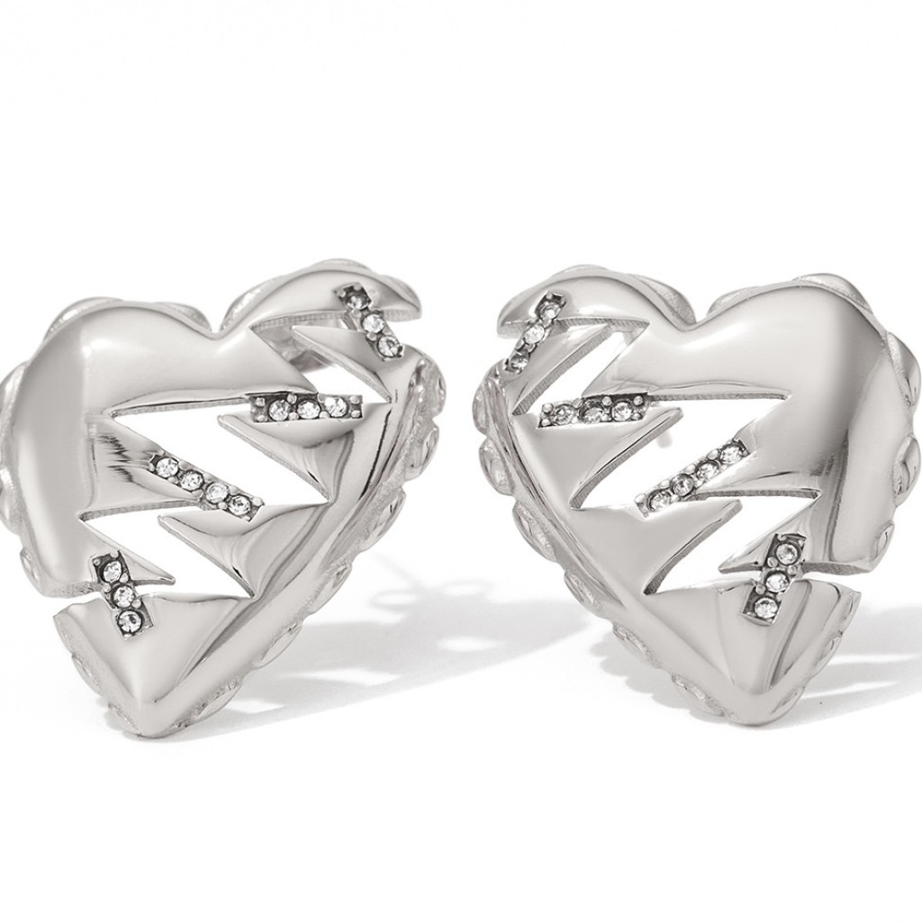 Stainless steel earrings