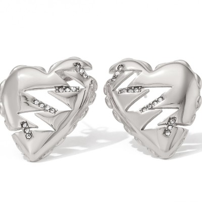 Stainless steel earrings