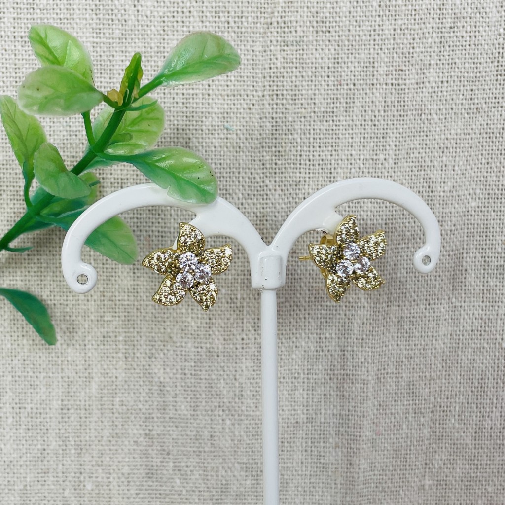 Stainless steel earrings