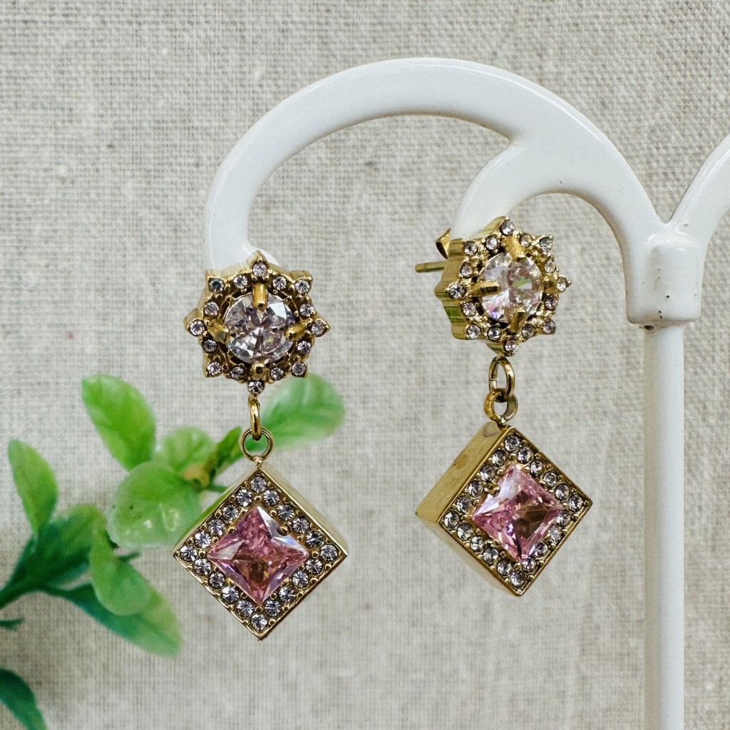 Stainless steel earrings