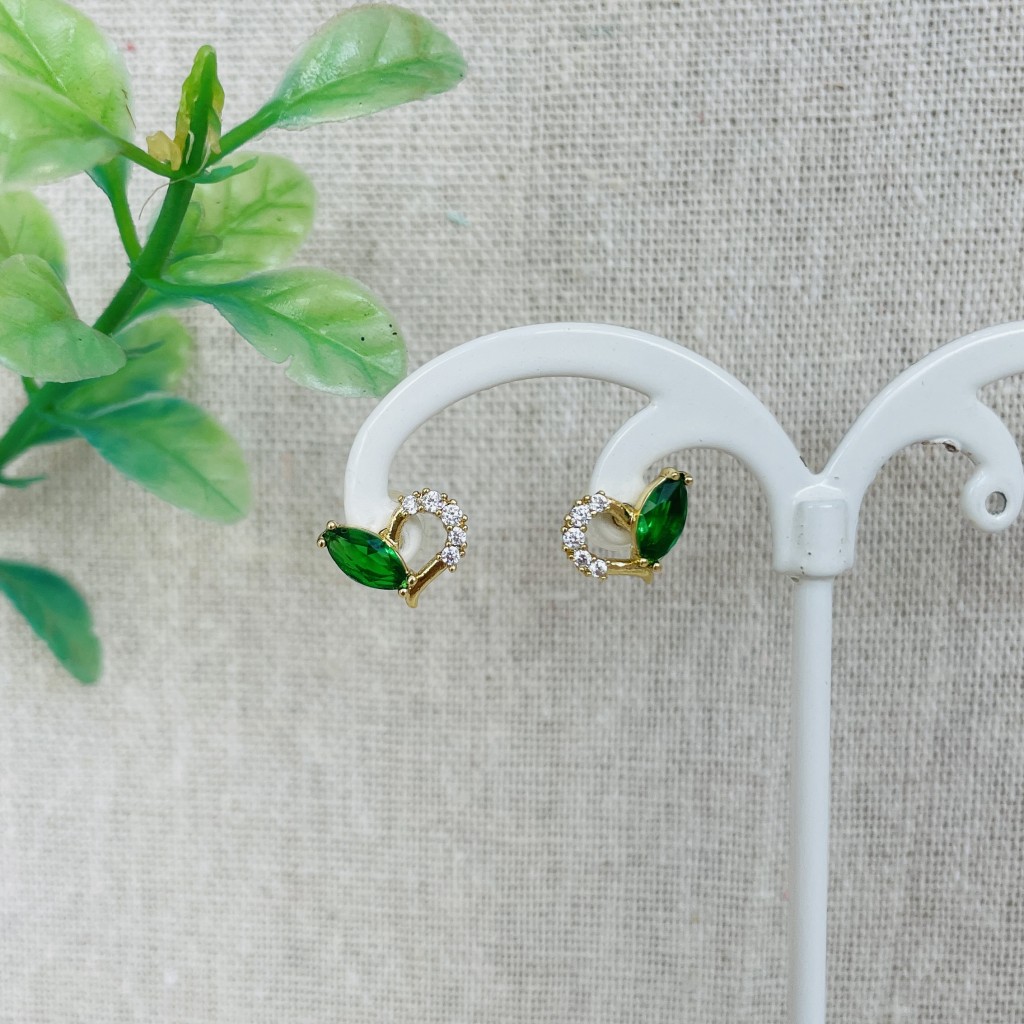 Stainless steel earrings