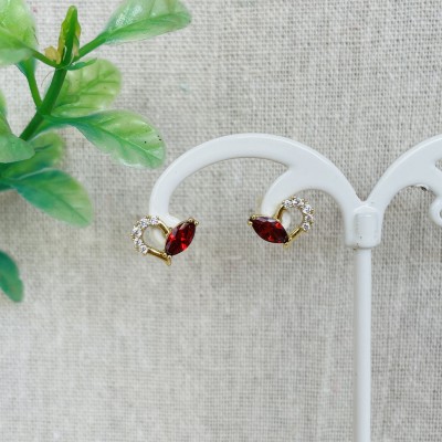 Stainless steel earrings