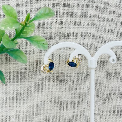 Stainless steel earrings
