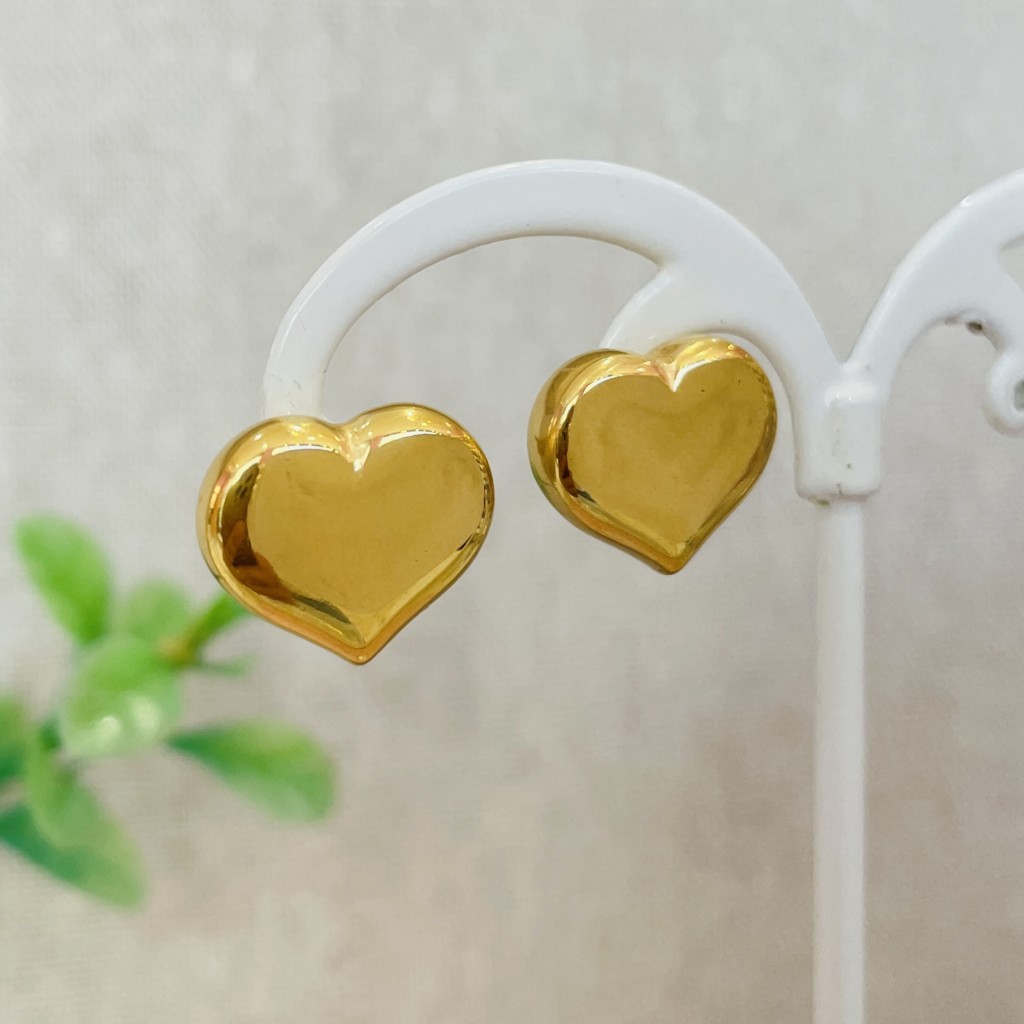 Stainless steel earrings