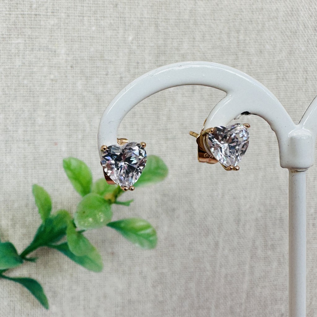 Stainless steel earrings
