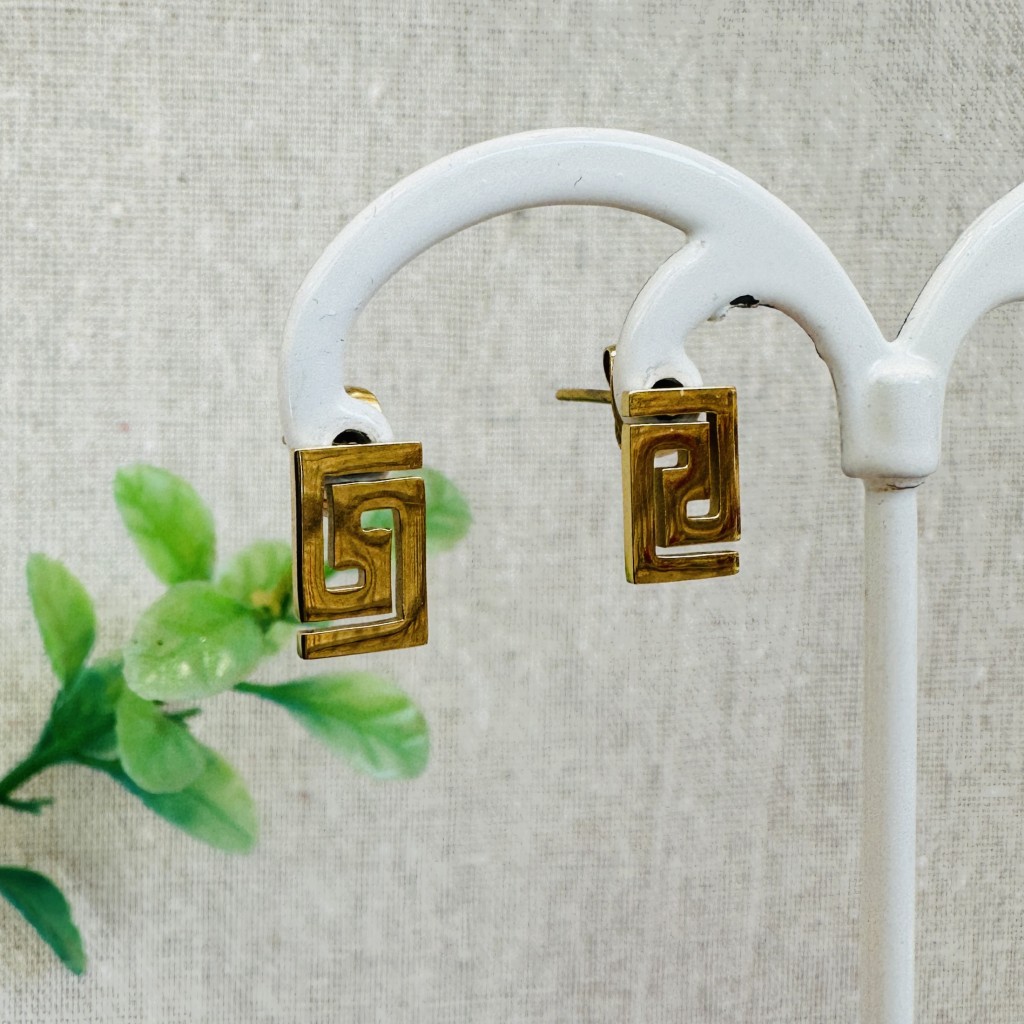Stainless steel earrings