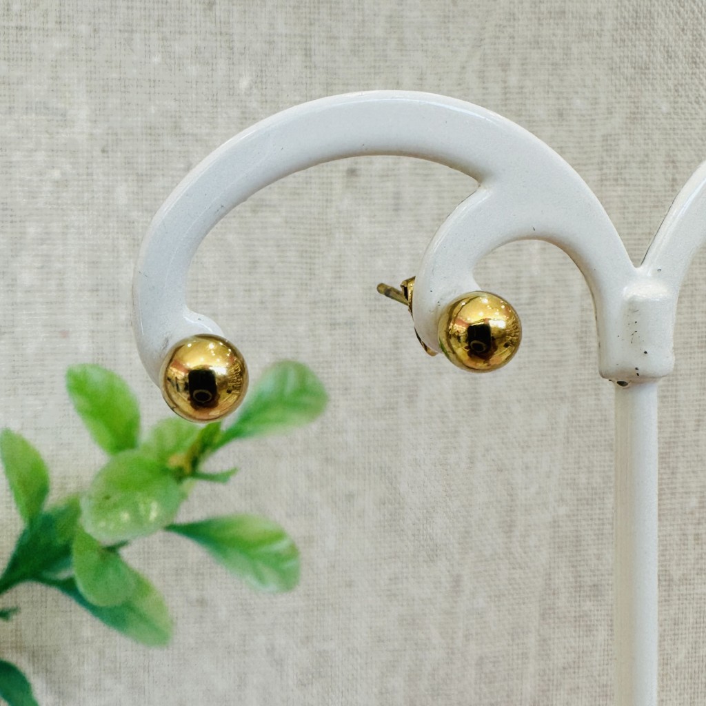 Stainless steel 5mm earrings