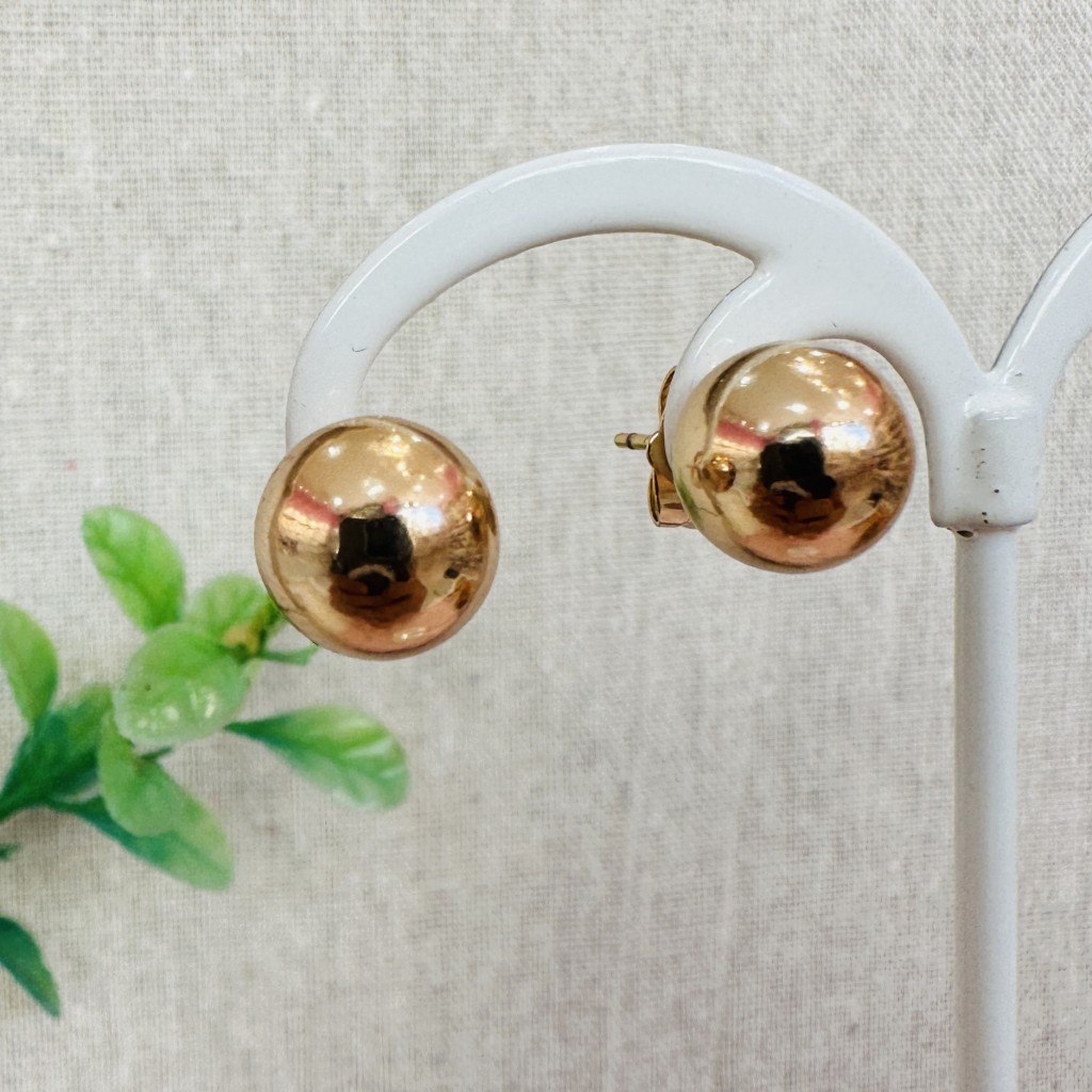 Stainless steel 10mm earrings