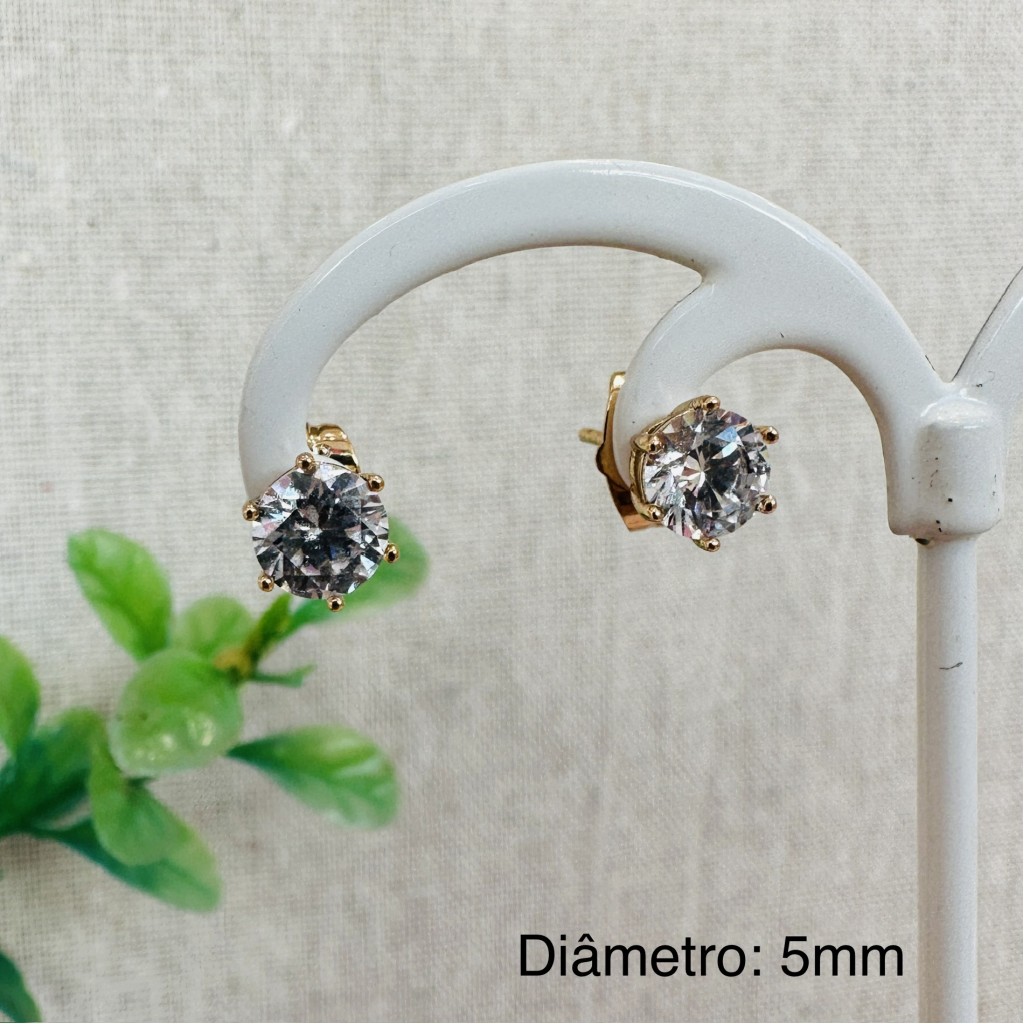 Stainless steel 5mm earrings