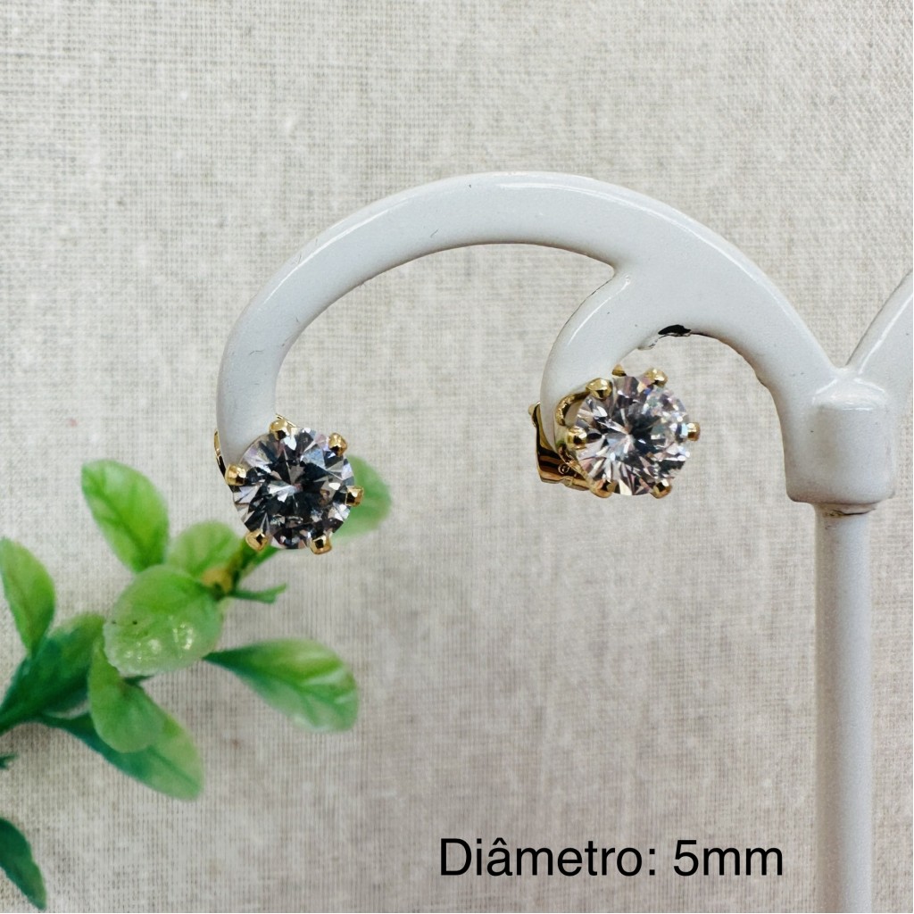 Stainless steel 5mm earrings