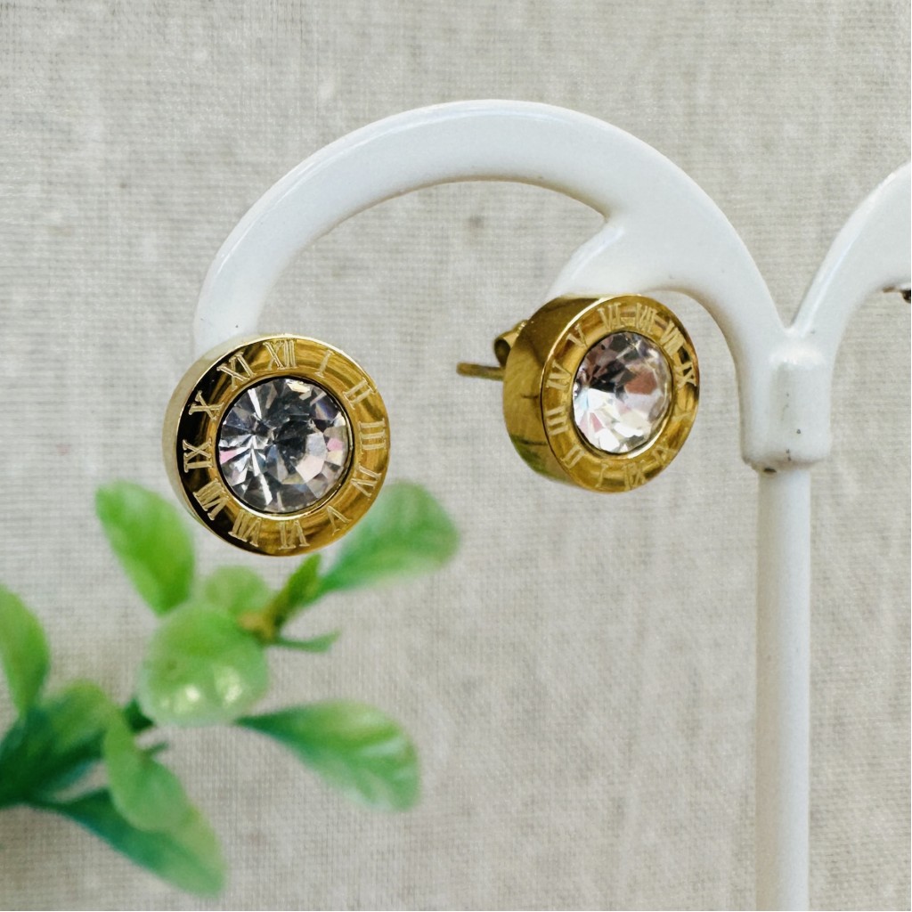 Stainless steel earrings