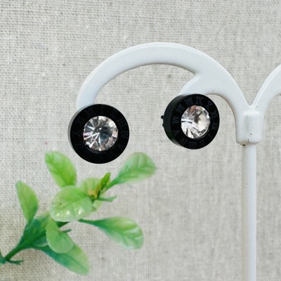 Stainless steel earrings
