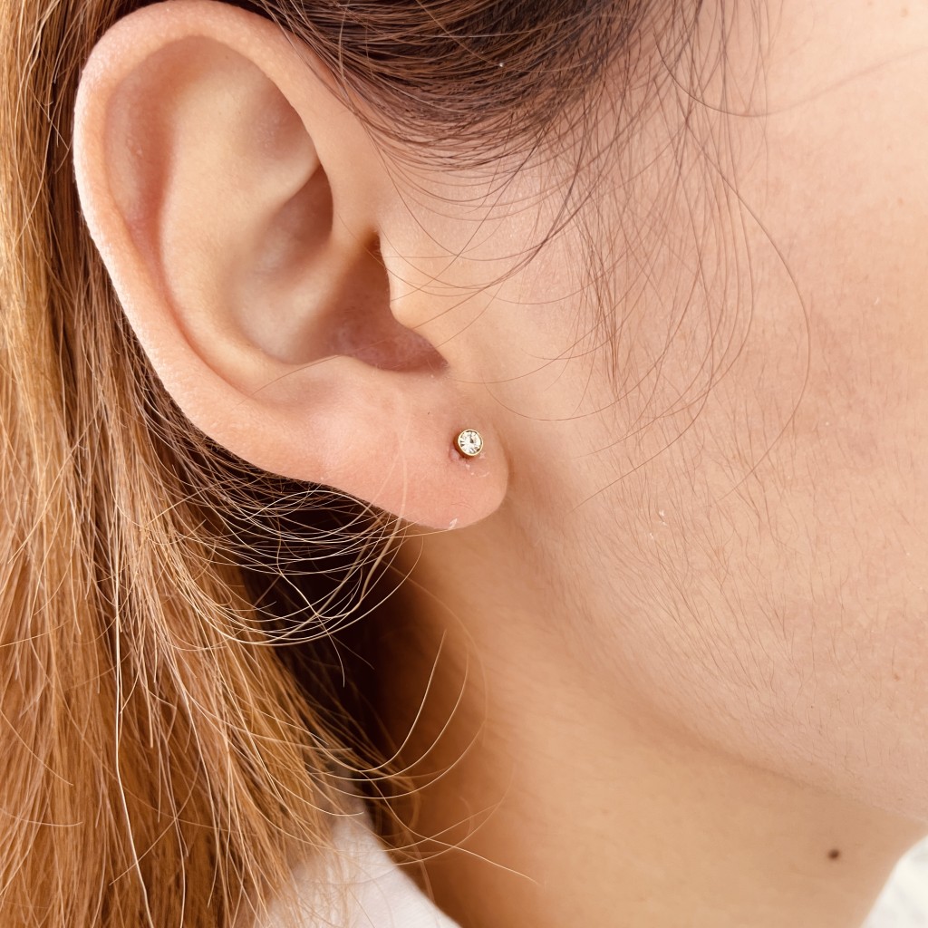 Stainless steel earrings
